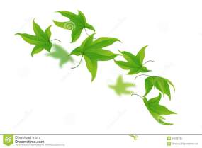 falling-green-leaves-spinning-white-background-vector-illustration-51292145